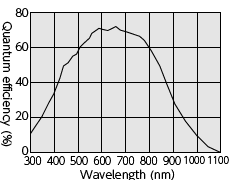 Spectral sensitivity