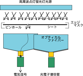 動作の内容