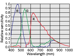 Spectral sensitivity
